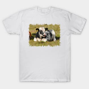 Love Cows T-Shirt